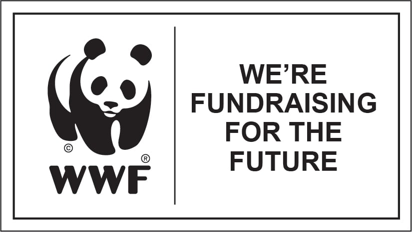 Group-fundraising-NO-LINES (003).jpg