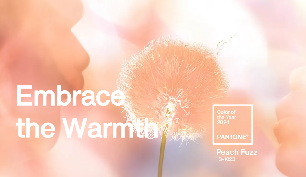 Pantone 2024 Peach Fuzz.jpg