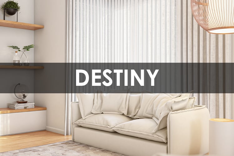 DESTINY.jpg