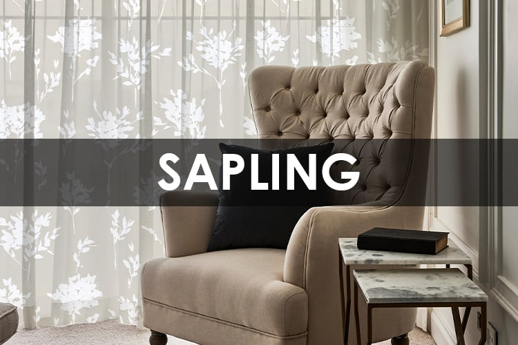 SAPLING.jpg