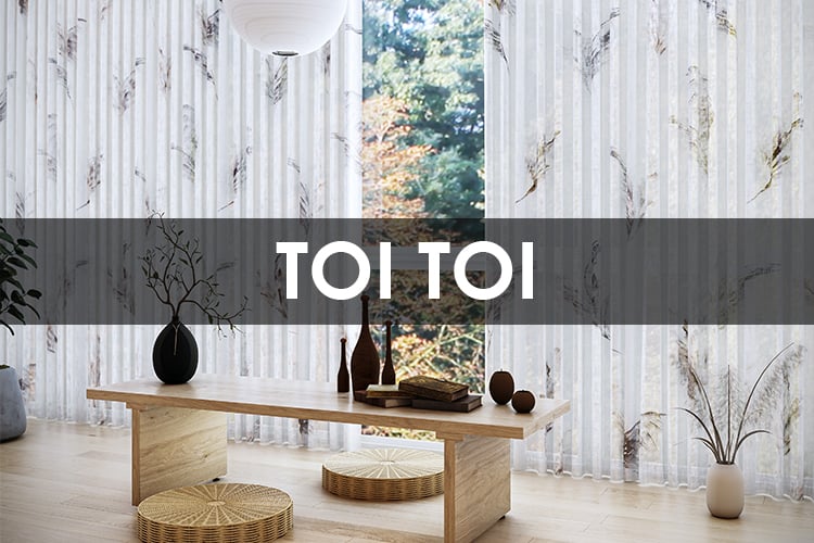 TOI TOI.jpg